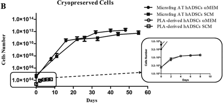 Key visual for characteristics-and-properties-of-mesenchymal-stem-cells-derived-from-microfragmented-adipose-tissue