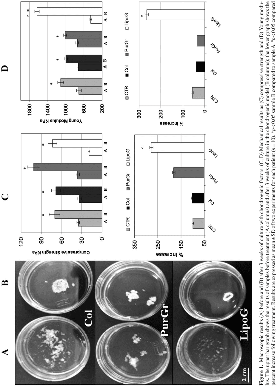 Key visual for human-lipoaspirate-as-autologous-injectable-active-scaffold-for-one-step-repair-of-cartilage-defects