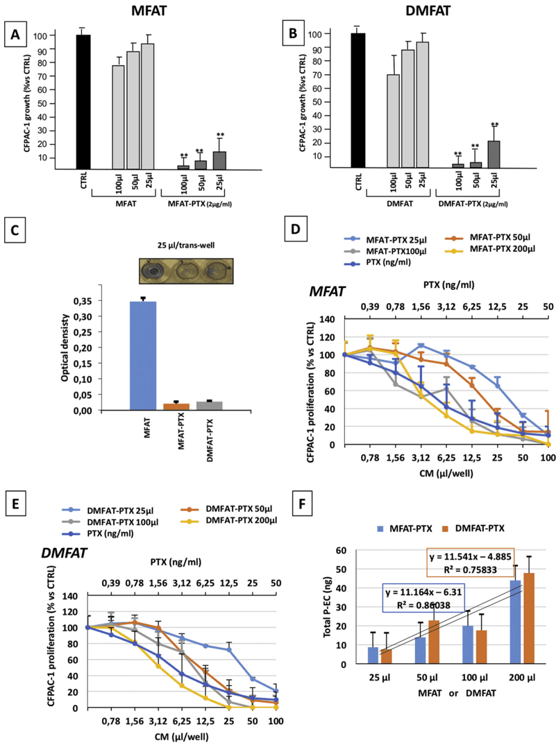 Key visual for microfragmented-human-fat-tissue-is-a-natural-scaffold-for-drug-delivery-potential-application-in-cancer-chemotherapy
