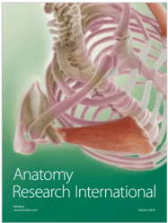 Key visual for a-nonenzymatic-and-automated-closed-cycle-process-for-the-isolation-of-mesenchymal-stromal-cells-in-drug-delivery-applications