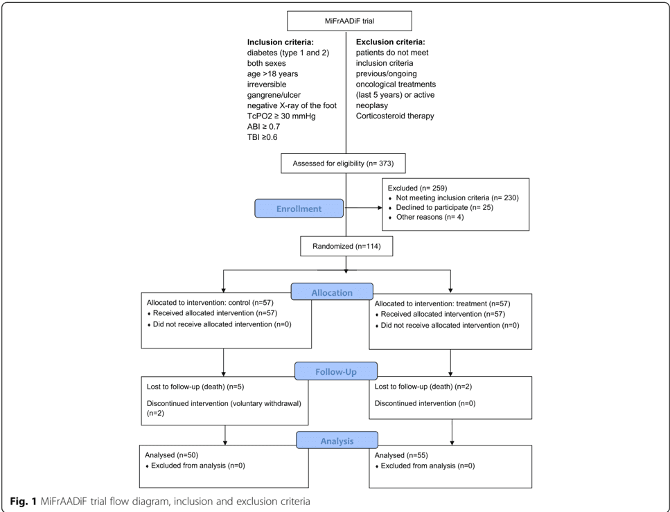 Key visual for autologous-micro-fragmented-adipose-tissue-for-the-treatment-of-diabetic-foot-minor-amputations-a-randomized-controlled-single-center-clinical-trial-mifraadif
