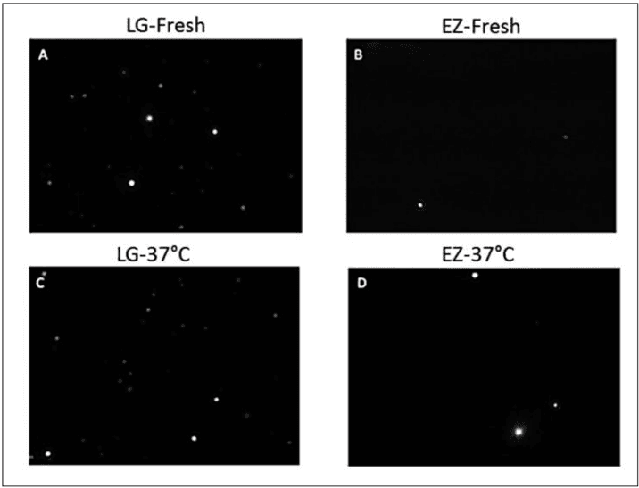 Key visual for differences-in-exosome-content-of-human-adipose-tissue-processed-by-non-enzymatic-and-enzymaticmethods