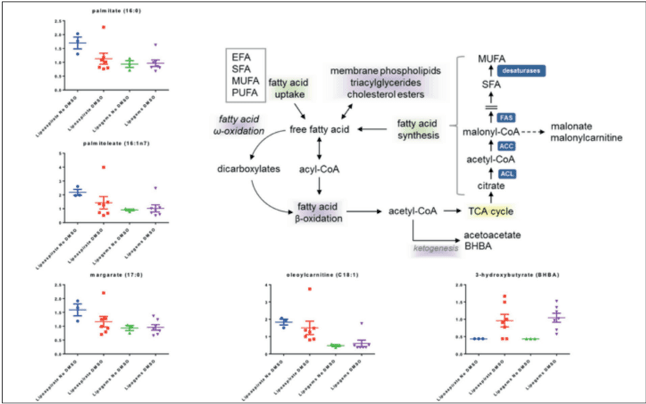 Key visual for metabolomic-changes-in-human-adipose-tissue-derived-products-following-non-enzymatic-microfacturing