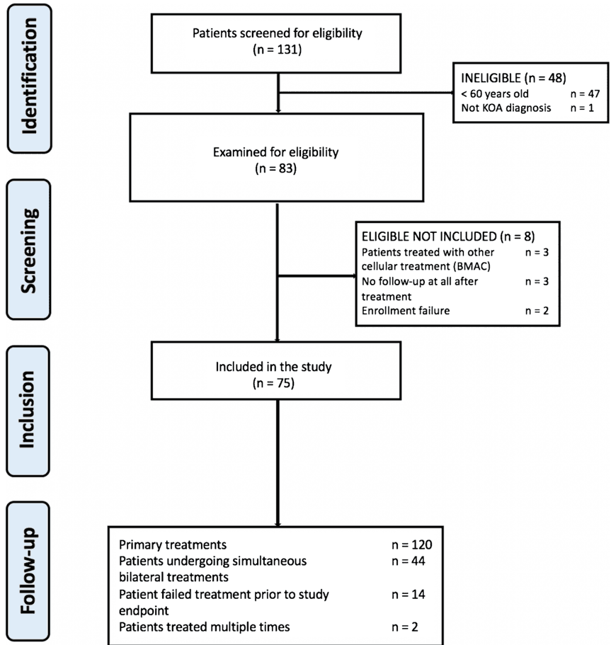 Key visual for two-year-clinical-outcomes-of-autologous-microfragmented-adipose-tissue-in-elderly-patients-with-knee-osteoarthritis-a-multi-centric-international-study