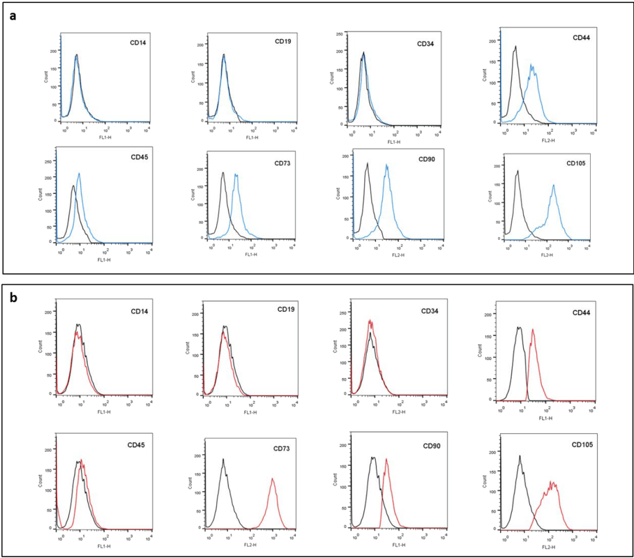 Key visual for gene-expression-profile-analysis-of-human-mesenchymal-stem-cells-from-herniated-and-degenerated-intervertebral-discs-reveals-different-expression-of-osteopontin