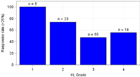 Key visual for functional-outcomes-following-microfragmented-adipose-tissue-versus-bone-marrow-aspirate-concentrate-injections-for-symptomatic-knee-osteoarthritis