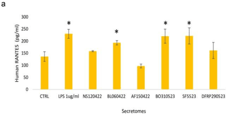 Key visual for cocc-2024