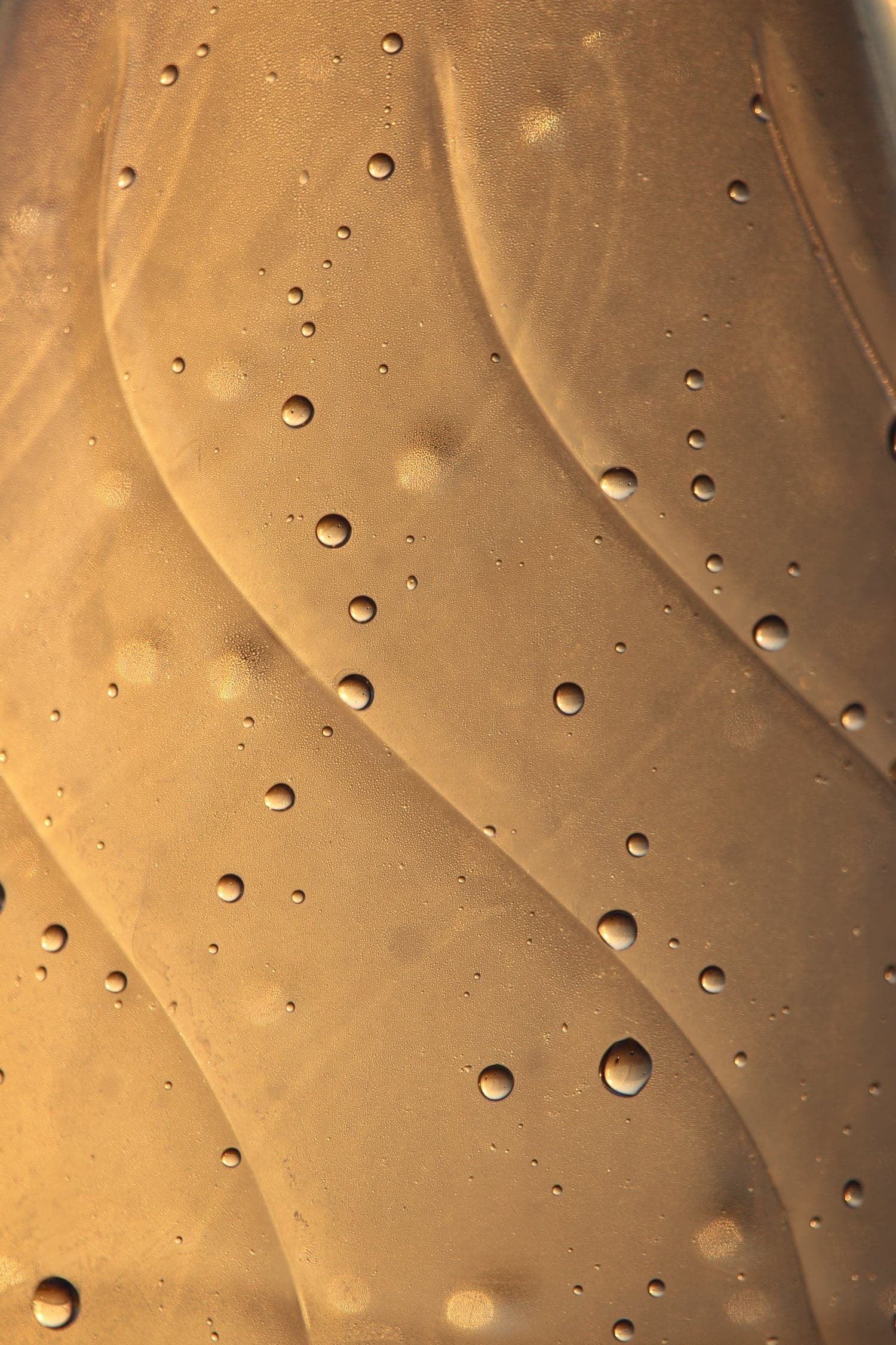 Mitocondri e salute metabolica