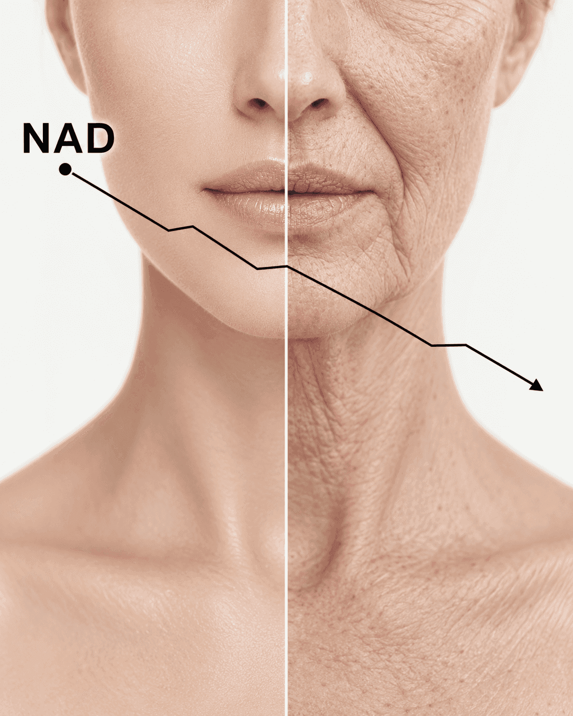 Perché oggi tutti parlano di peptidi, NAD+ e GLP-1