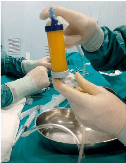 Key visual for cestaro-2015