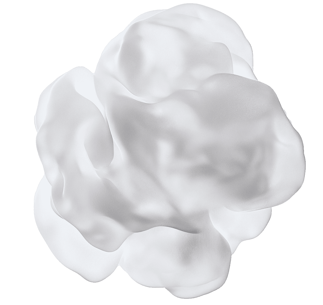 Integrative Programme