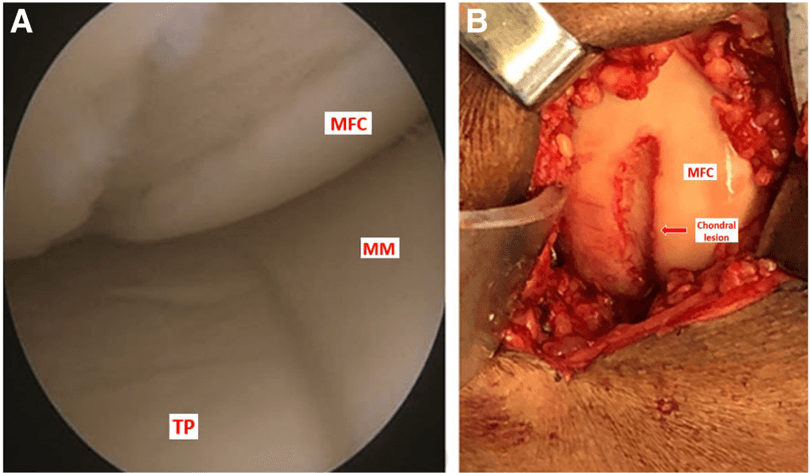 Key visual for debieux-2024