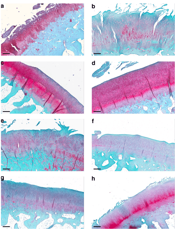 Key visual for filardo-2021