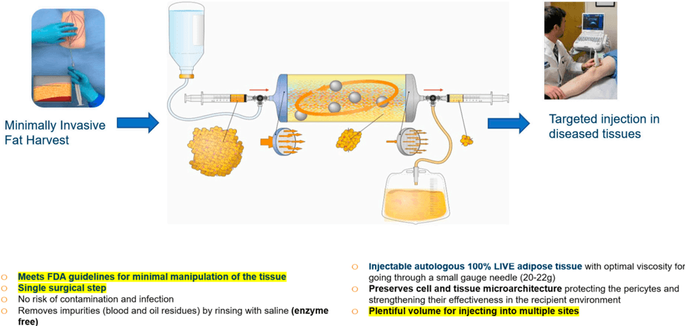 Key visual for understanding-your-body-s-fat-tissue-as-a-natural-healing-system