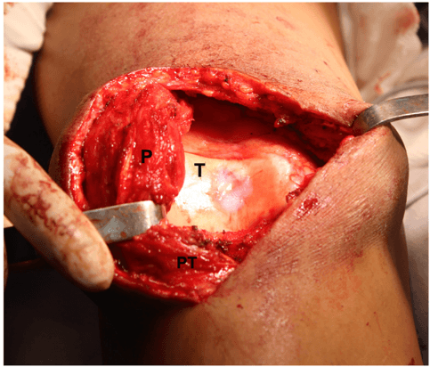 Key visual for leal-2024