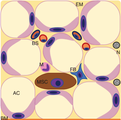 Key visual for lima-2022