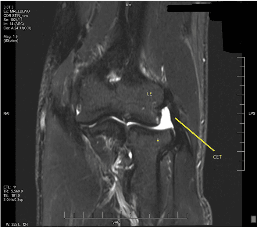 Key visual for siddiqui-2024