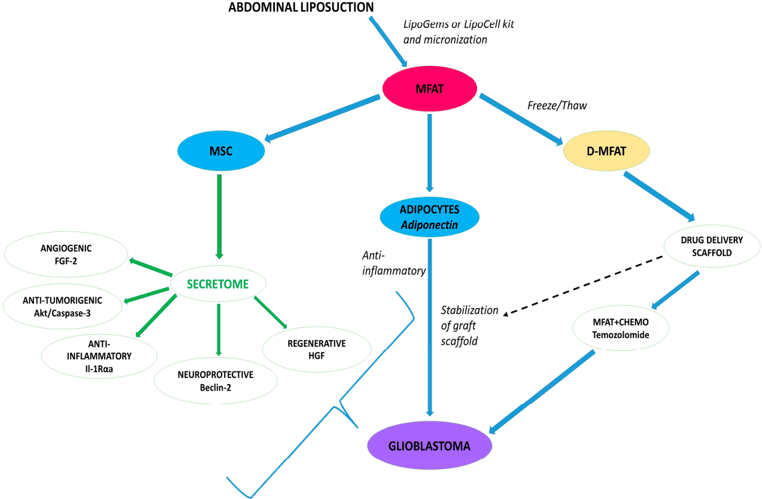 Key visual for slevin-2023