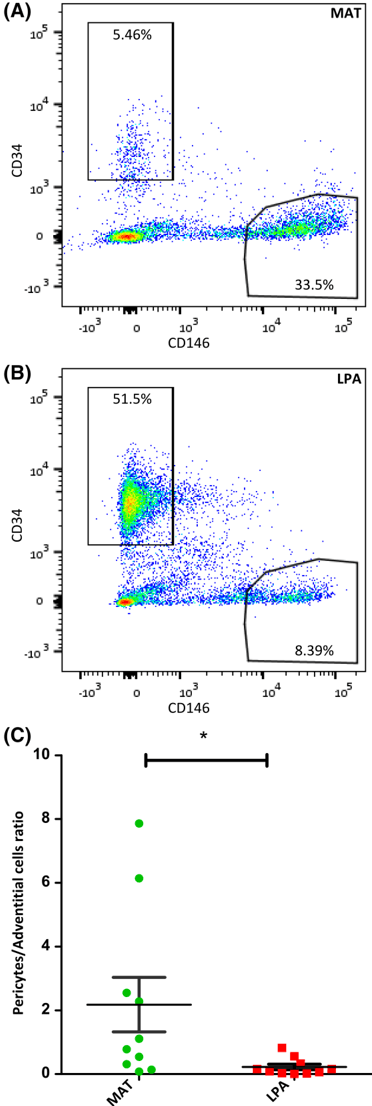 Key visual for higher-pericyte-content-and-secretory-activity-of-microfragmented-human-adipose-tissue-compared-to-enzymatically-derived-stromal-vascular-fraction