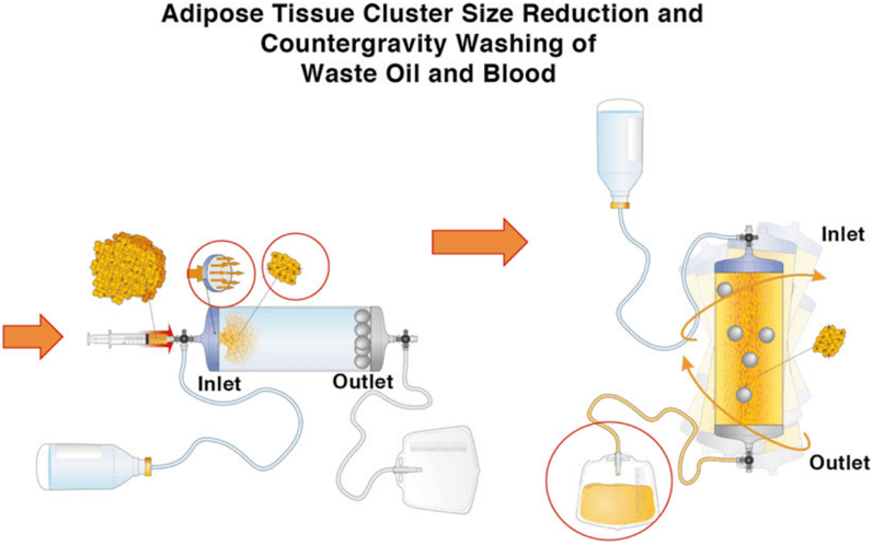 Key visual for tremolada-2016