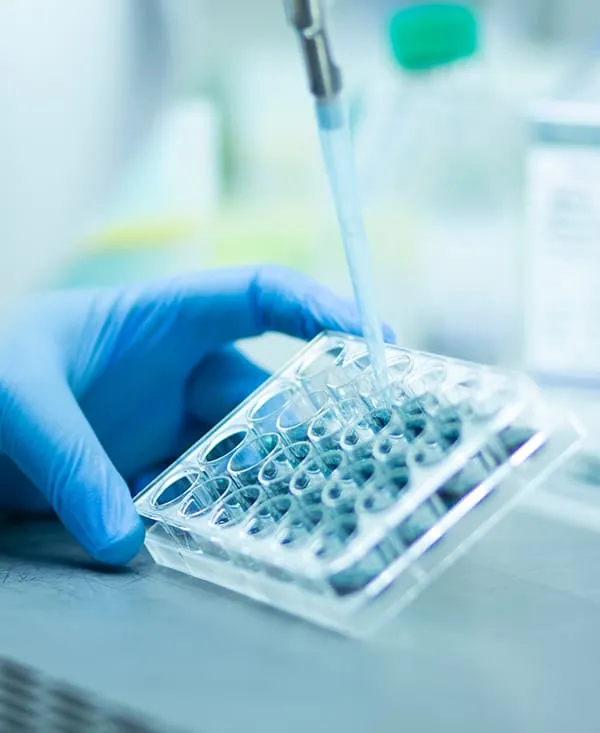 The Science Behind Aging (Not Just Behind Wrinkles)