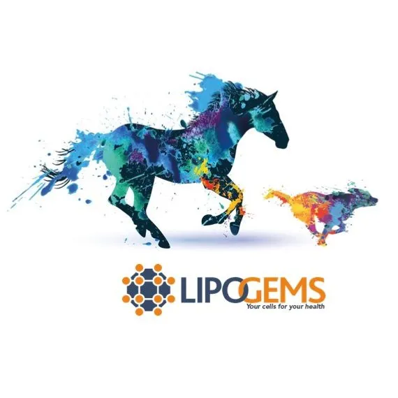 Lipogems en médecine vétérinaire